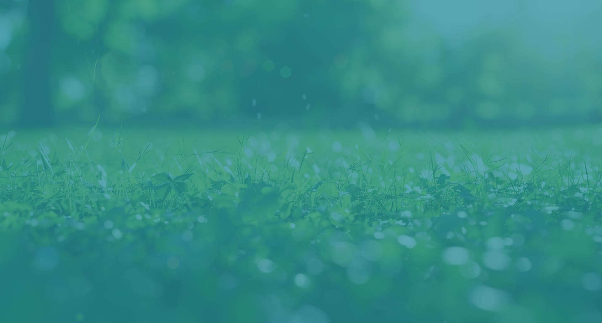 missions environnement QHSE