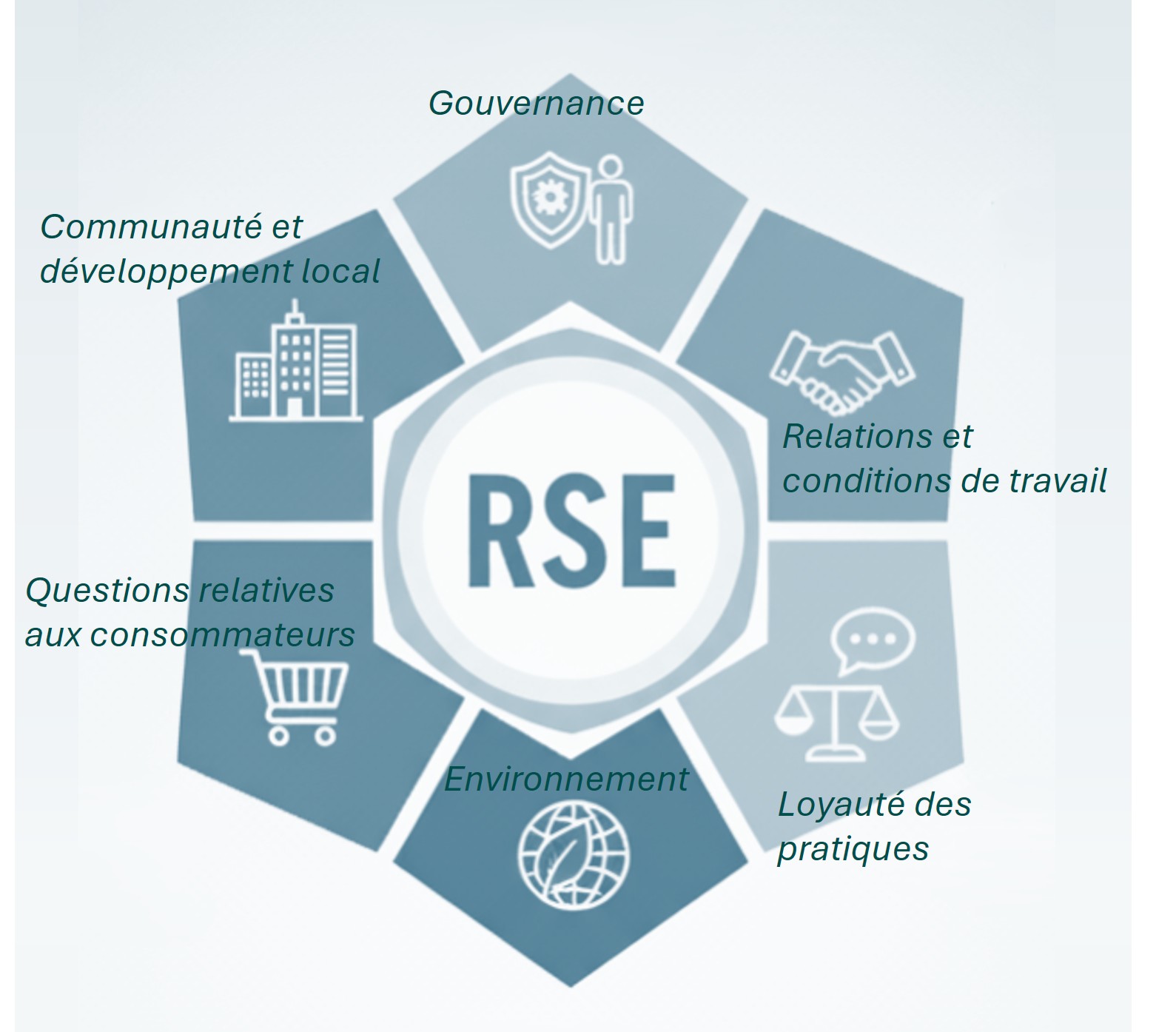 schéma des 7 piliers RSE